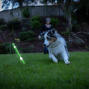 Chuckit! Ultra Fetch Stick Max Glow Bastão Brilha no Escuro - New York Pets