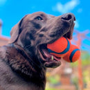 Chuckit Ultra Tumbler Medio Brinquedo para Cachorro - New York Pets