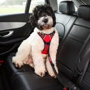 Cinto de Segurança Kong - New York Pets