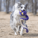 Cobra de Mola 100cm Petta – Pelucia de Cobra para Cachorro - New York Pets