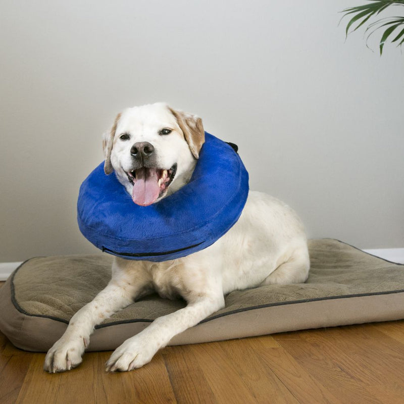 Colar Kong Inflável para cães e gatos - New York Pets