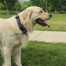 Coleira Kong Nylon Colar Para Cachorro - New York Pets