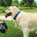 Coleira Kong Nylon Colar Para Cachorro - New York Pets