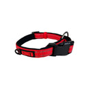 Coleira Kong Nylon Colar Para Cachorro - New York Pets