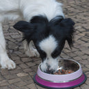 Comedouro GermanHart Dual Color para cães - New York Pets