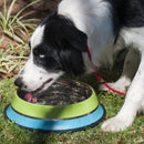 Comedouro GermanHart Dual Color para cães - New York Pets