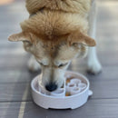 Comedouro Lento Café – Sodapup Java Design eBowl - New York Pets