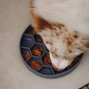 Comedouro Lento Colmeia com Ventosa New York Pets - New York Pets