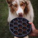 Comedouro Lento Colmeia com Ventosa New York Pets - New York Pets