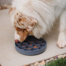 Comedouro Lento Colmeia com Ventosa New York Pets - New York Pets