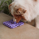 Comedouro Lento e Tapete de Fuçar com Ventosas - New York Pets - New York Pets