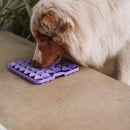 Comedouro Lento e Tapete de Fuçar com Ventosas - New York Pets - New York Pets