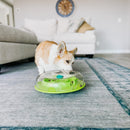 Comedouro Lento Para Cachorro Nina Ottosson Wobble Bowl - New York Pets