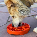 Comedouro Lento Sol e da Lua – Sodapup - New York Pets