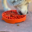 Comedouro Lento Sol e da Lua – Sodapup - New York Pets