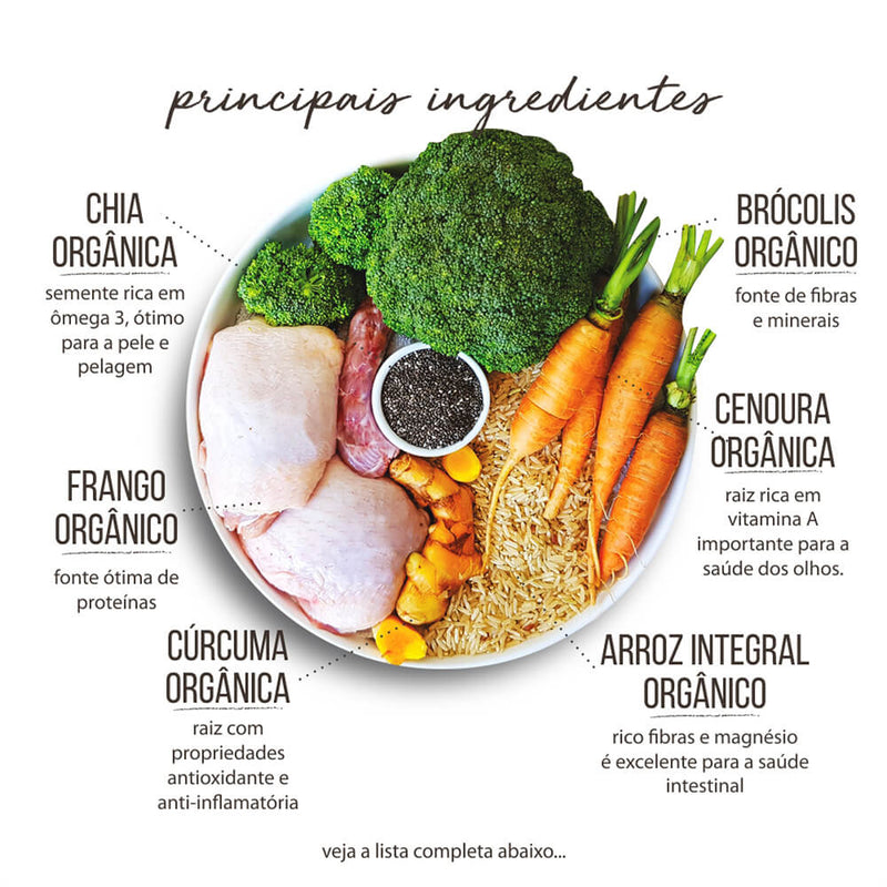 Comidinha Orgânica All Love para Cães Adultos | Alimento Natural - New York Pets