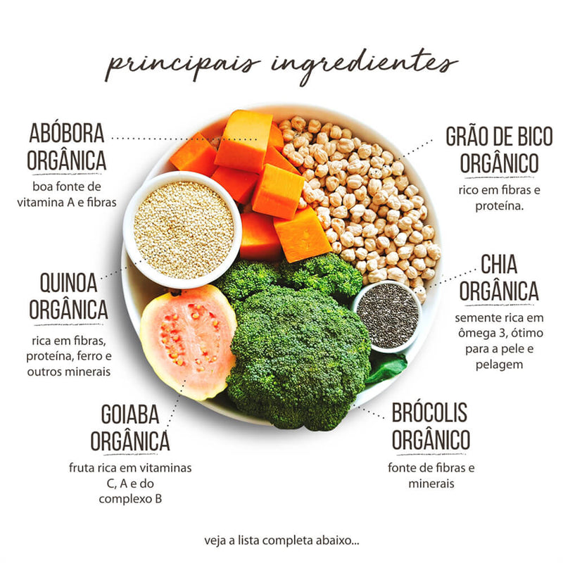 Comidinha Orgânica All Love Veggie para Cães | Alimento Natural - New York Pets