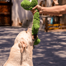 Crocodilo de Pescoço Longo Qmonster Petta – Pelucia Gigante - New York Pets