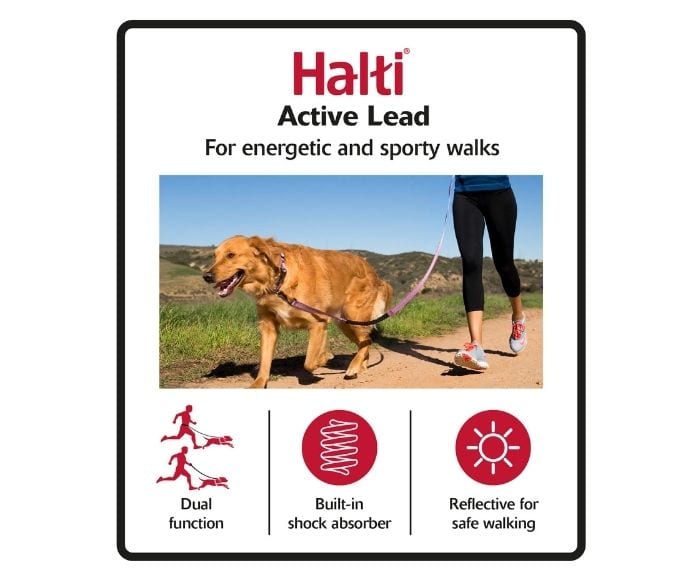 Guia de passeio para cachorro Halti Active lead