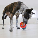 Dispenser de Ração Kong Scuttle Pod - New York Pets