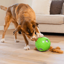 Dog Snuffle N´Treat Ball Outward Hound Puzzle para Cachorro - New York Pets