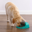 Dog Spin N' Eat Nina Ottosson Brinquedo Interativo e Comedouro Lento - New York Pets