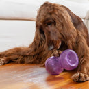 Double Snoop Outward Hound Brinquedo Recheável Interativo - New York Pets