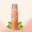 Espuma Banho a Seco para Cachorro - Pet Head Quick Fix - New York Pets