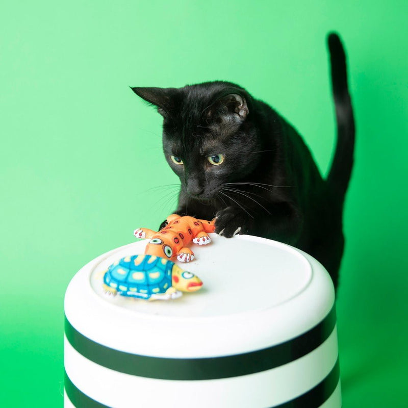 Brinquedo Tartaruga Fatcat Crackler Para Gato com Catnip