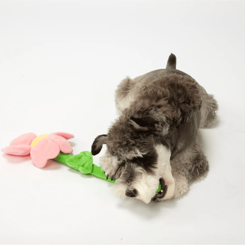 Flor de Pelúcia e Corda FOFOS Petta – Pelucia Interativo com Crackle e Alça de Corda - New York Pets