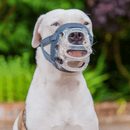 Focinheira Baskerville INVISA - Tamanhos 1 a 6 - New York Pets