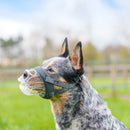 Focinheira Baskerville INVISA - Tamanhos 1 a 6 - New York Pets