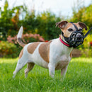 Focinheira Baskerville Preta Pequeno - Tamanho 2 - New York Pets