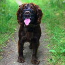 Focinheira Baskerville Preta XP - Tamanho 1 - New York Pets