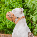 Focinheira Baskerville Wide - Tamanho 1 e 2 - New York Pets