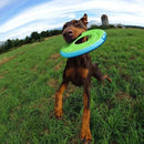 Frisbee para cachorro Disco Chuckit! Zipflight - New York Pets