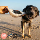 Glamuroso Mordedor para Cachorro - AlecrimPet - New York Pets