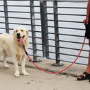 Guia de Corda Kong Rope Leash Refletivo 1 - New York Pets