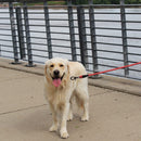 Guia de Corda Kong Rope Leash Refletivo 1 - New York Pets