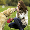 Guia Flexi Fun Corda - New York Pets