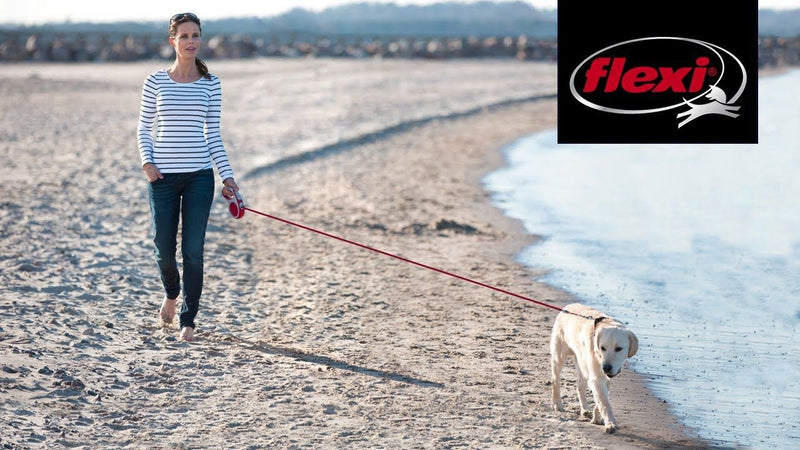 Guia Flexi Fun Fita - New York Pets