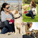 Guia Flexi Fun Fita - New York Pets