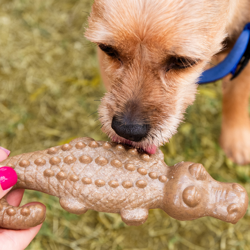 Mordedor JAUcaré Xbone Germanhart para Cachorro