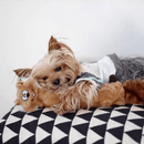 Jigglerz Pelucia Para Cachorro da Zippy Paws - New York Pets