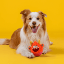 João Bobo 2 em 1 Petta – Brinquedo Interativo de Pelúcia com Bola Interna - New York Pets