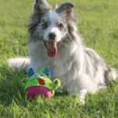 João Bobo 2 em 1 Petta – Brinquedo Interativo de Pelúcia com Bola Interna - New York Pets