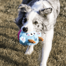 João Bobo 2 em 1 Petta – Brinquedo Interativo de Pelúcia com Bola Interna - New York Pets