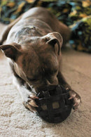 JW Bola Recheavel JW Holee Roller Extreme Preta p/ cães - New York Pets