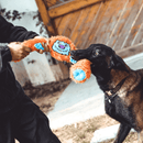 King Kong 2 em 1 Petta – Pelúcia Interativa com Bola Interna Sonora - New York Pets