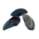 Kit Casco de Boi com 3 unidades 100% Natural - Puretoy - New York Pets